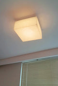 Ceiling LightRivage Rectangle Ceiling LampL 15.2cm x W 15.2cm x H 12cm / L 6″ x W 6″ x H 4.7″SilverLennar Visual