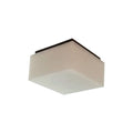 Ceiling LightRivage Rectangle Ceiling LampL 15.2cm x W 15.2cm x H 12cm / L 6″ x W 6″ x H 4.7″BlackLennar Visual