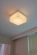 Ceiling LightRivage Rectangle Ceiling LampL 15.2cm x W 15.2cm x H 12cm / L 6″ x W 6″ x H 4.7″SilverLennar Visual